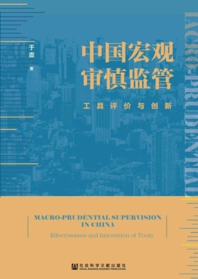 中国宏观审慎监管：工具