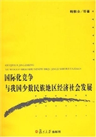 国际化竞争与我国少数