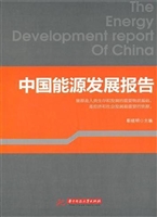 中国能源发展报告