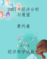 2007年经济分析与展望