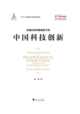 双循环新发展格局下的