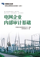 电网企业内部审计基础