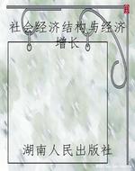 社会经济结构与经济增