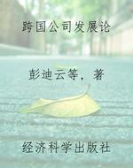 跨国公司发展论