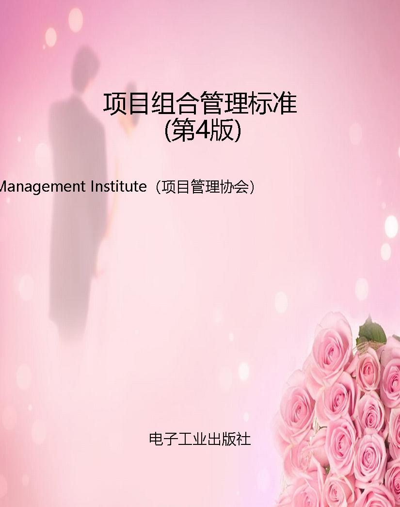 项目组合管理标准（第4