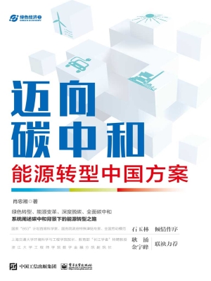 迈向碳中和：能源转型中