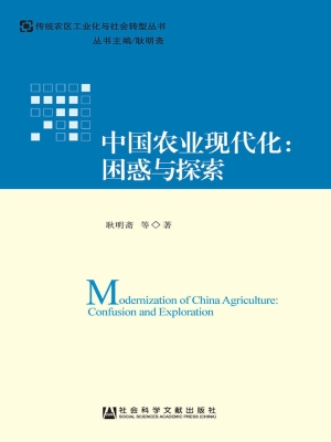 中国农业现代化：困惑与
