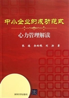中小企业的成功范式