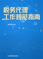 税务代理工作规范指南