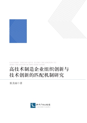 高技术制造企业组织创