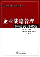 企业战略管理实验实训