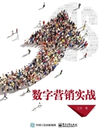 数字营销实战