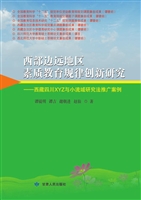 西部边远地区素质教育