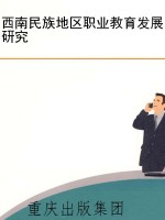 西南民族地区职业教育