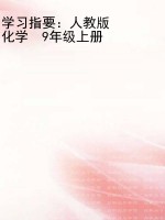 学习指要：人教版    化