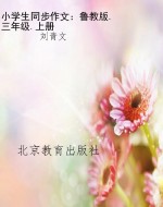 小学生同步作文：鲁教版