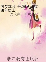 同步练习 升级版 语文