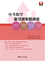 中考数学复习微专题讲