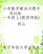 小学数学解决问题专项