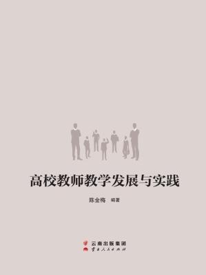 高校教师教学发展与实