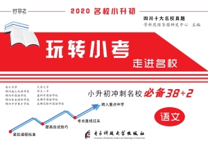 玩转小考语文