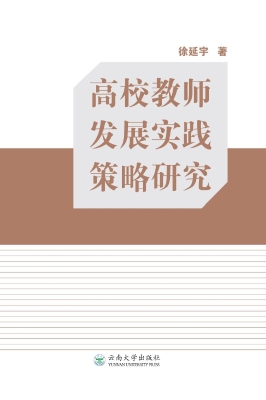 高校教师发展实践策略