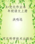 A+优化作业本 三年级