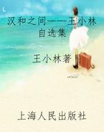 汉和之间——王小林自