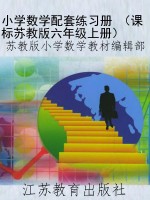 小学数学配套练习册 （