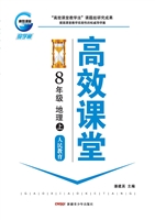 高效课堂·人民教育版
