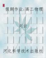 假期作业：高二物理