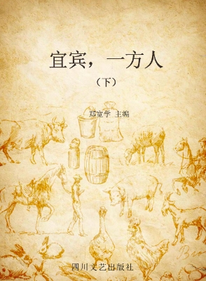 宜宾，一方人（下）