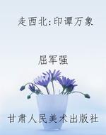 走西北：印谭万象
