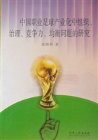 中国职业足球产业化中