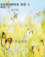 实验教材新学案 英语 