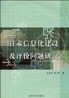 甘肃信息化建设及评价