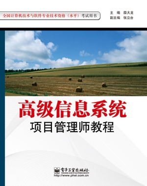 高级信息系统项目管理