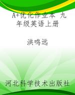 A+优化作业本 九年级