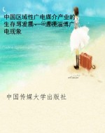 中国区域性广电媒介产