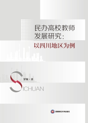 民办高校教师发展研究