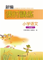 新编课时精练——小学
