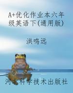 A+优化作业本六年级英