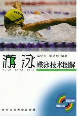 蝶泳技术图解