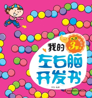 我的左右脑开发书