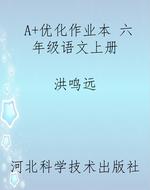 A+优化作业本 六年级