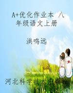 A+优化作业本 八年级