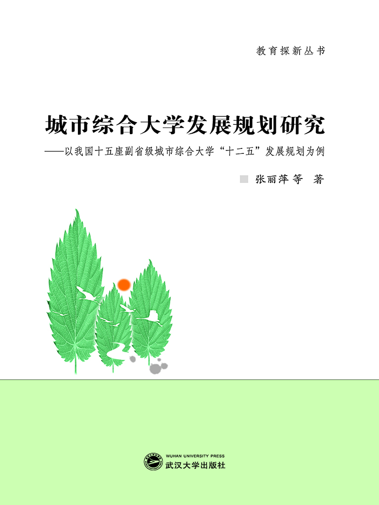 城市综合大学发展规划