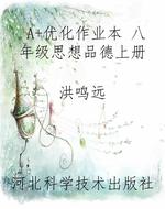 A+优化作业本 八年级