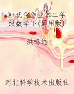 A+优化作业本二年级数