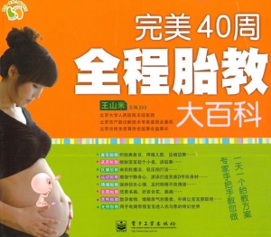 完美40周全程胎教大百